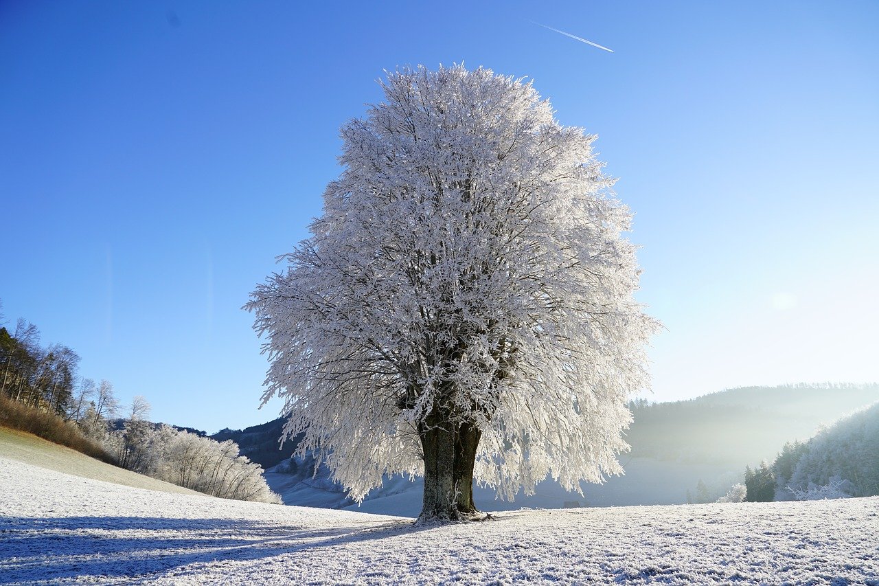 Onwerkbaar Weer Door Sneeuw; Wat Moet U Weten?