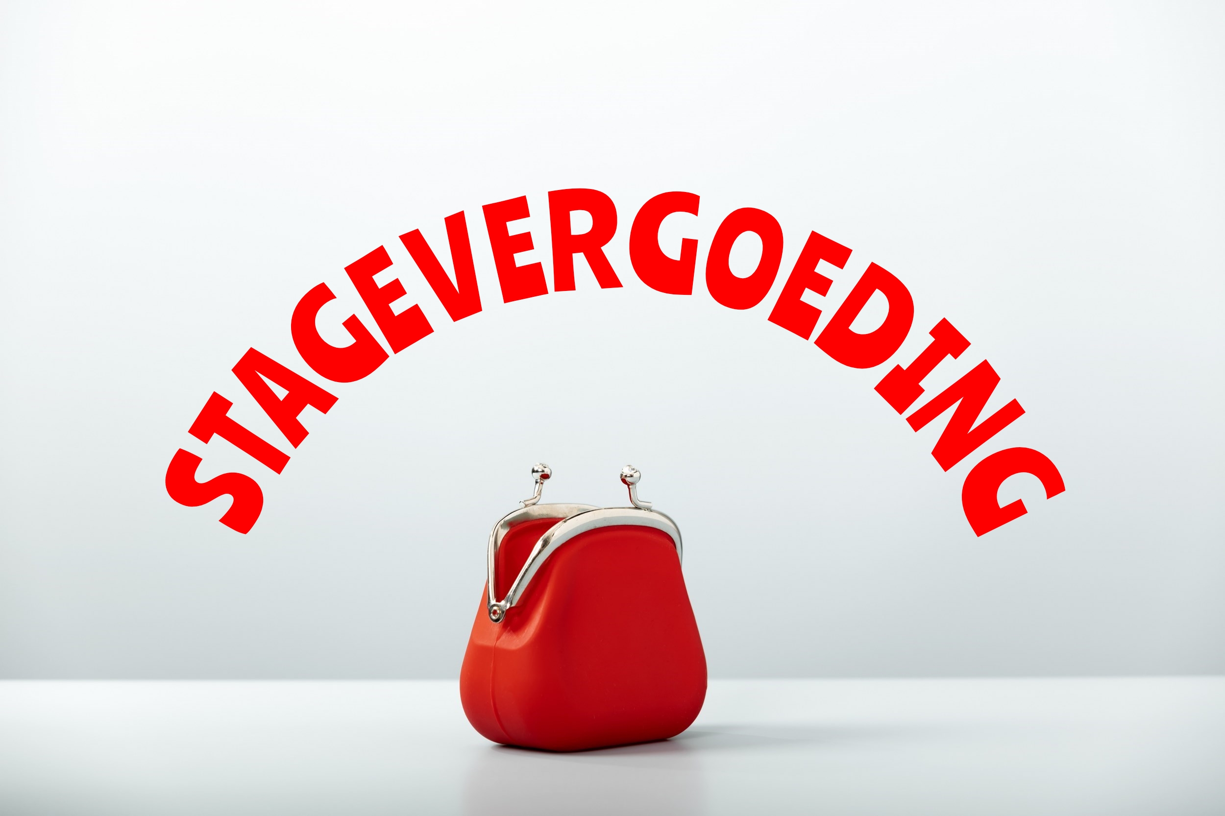 Stagevergoeding In De Praktijk: Uw Rol Als Werkgever