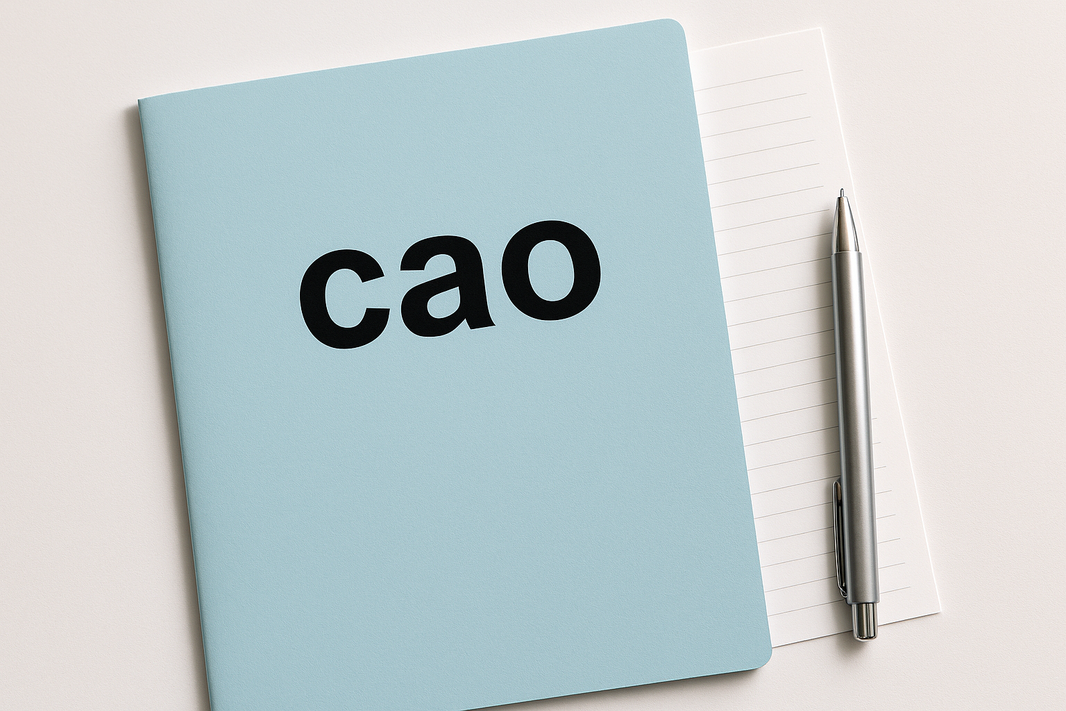Welke Cao Moet Je Als Werkgever Toepassen?